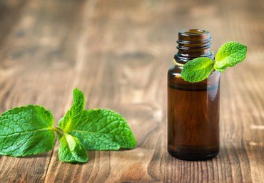 广州上门油压行业到底还能走多远？